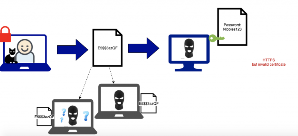 User login diagram showing hackers stealing info