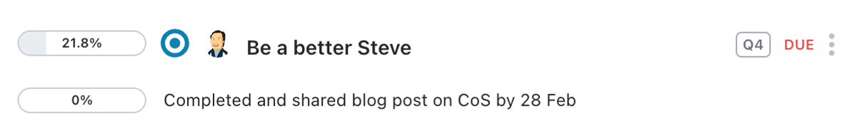 Screenshot of Steve's OKR on Pycor