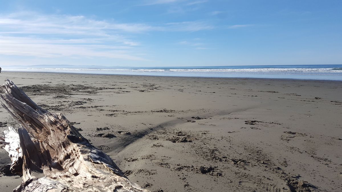 Sandy beach, driftwood log to the left
