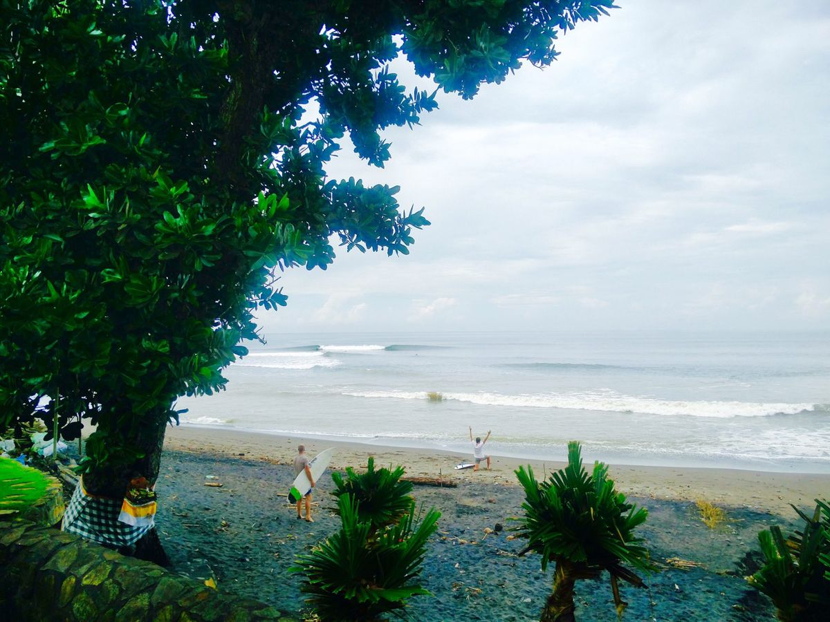 Looking out to the sea, surfers on the beach