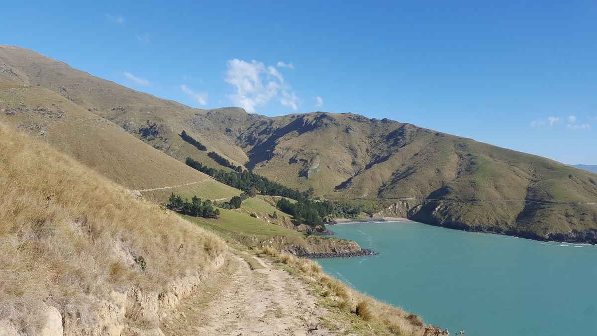 Hilltop view into Lyttelton harbour town