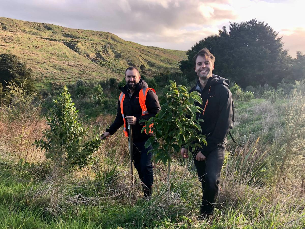Duncan Kervell and Alex Green checking tree establishment on a farm in the Kaipara