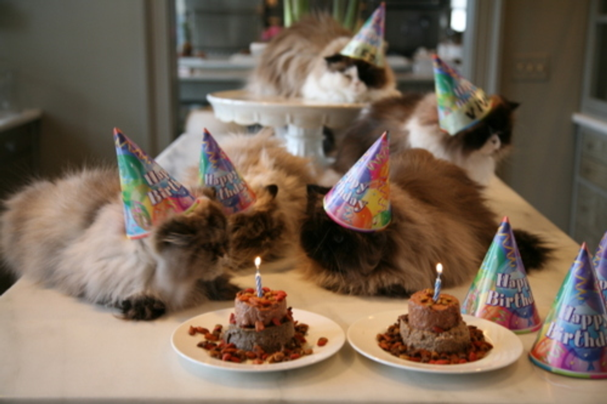 Table with 5 cats and lit cat-food cakes