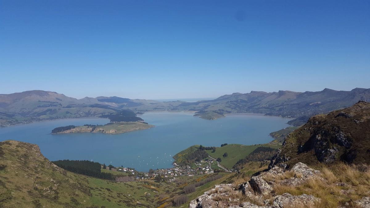 View from the top of a hill, looking down into a harbour, with a small harbourside town (Lyttelton) in the foreground