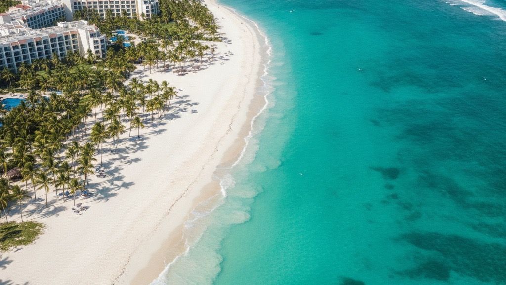 Best All-Inclusive Resorts in the Dominican Republic 2026