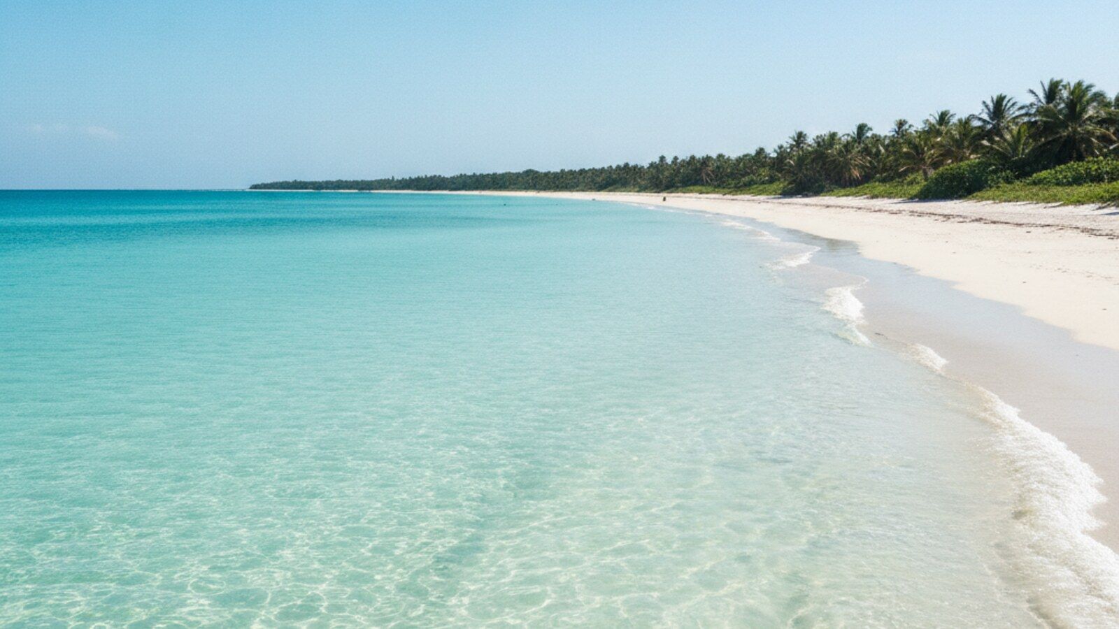 Clearest Caribbean Beaches 2026: Where to Find Blue Water Despite the Sargassum