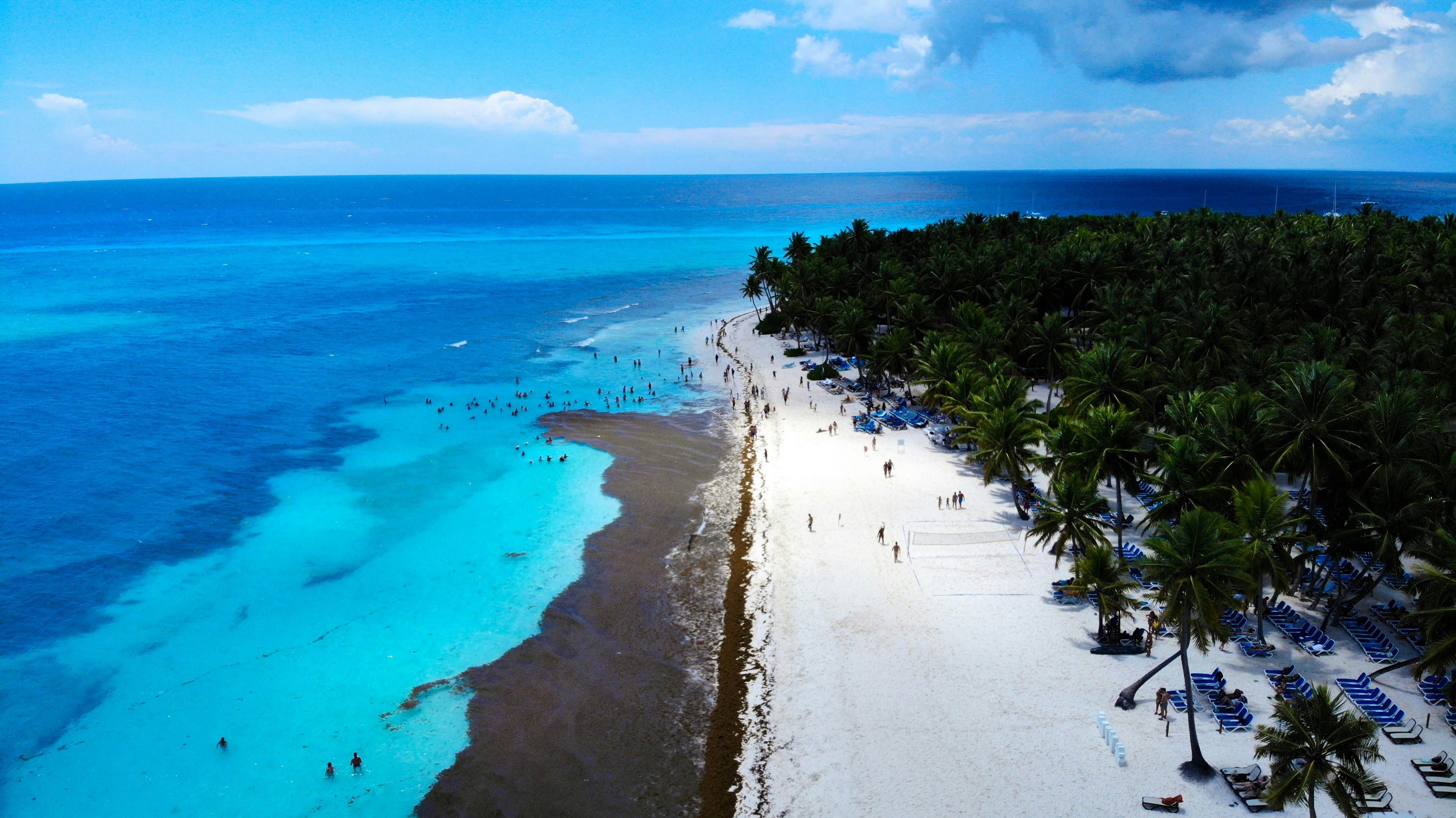 Best Time to Visit the Dominican Republic (2026)