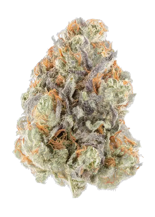 Blue Zerdz x 06 Og