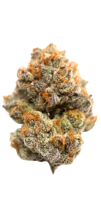 Blue Sherbert