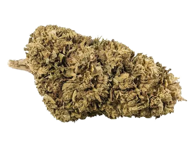 Outdoor Cannabis