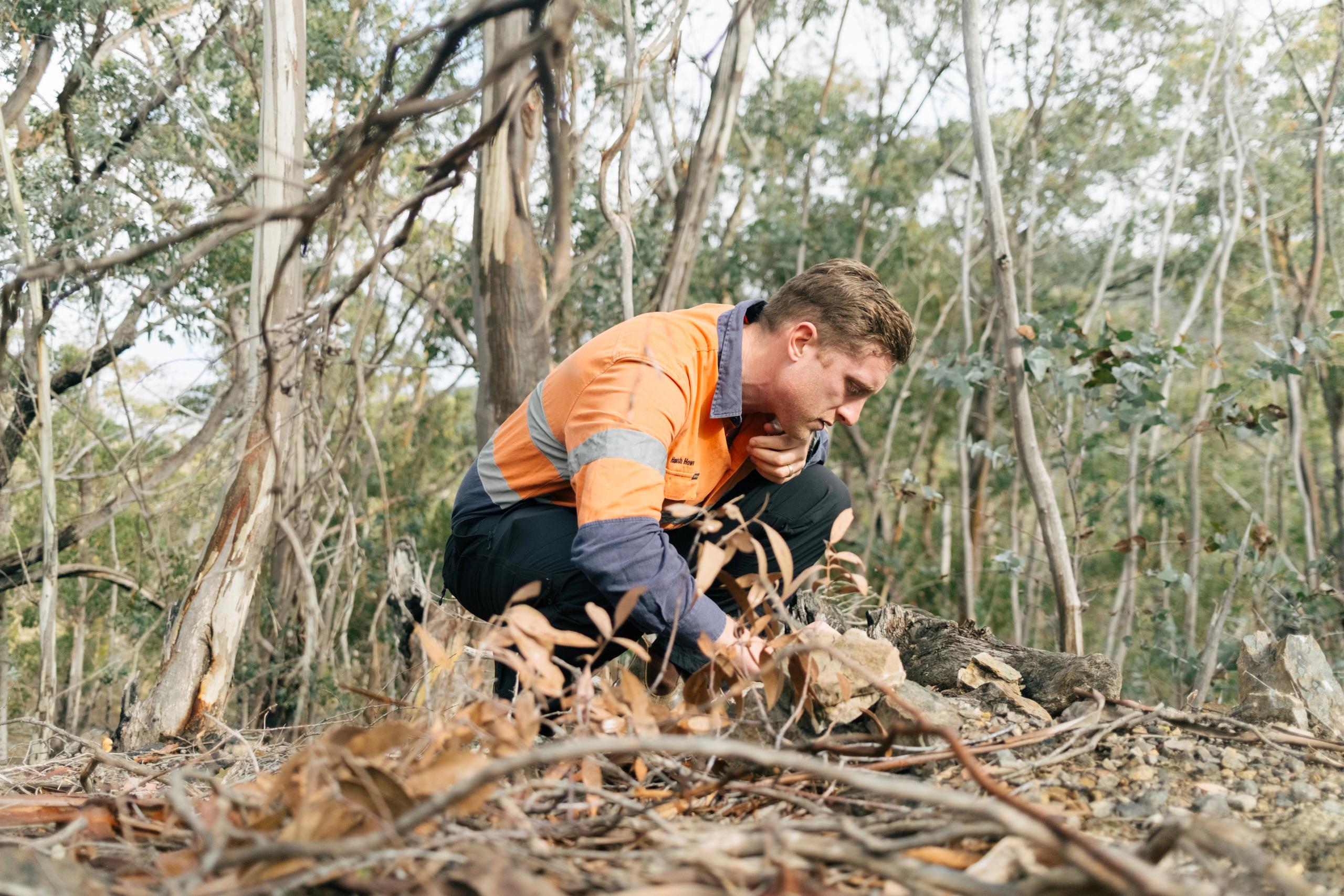 Environmental Consultants | Environmental Solutions