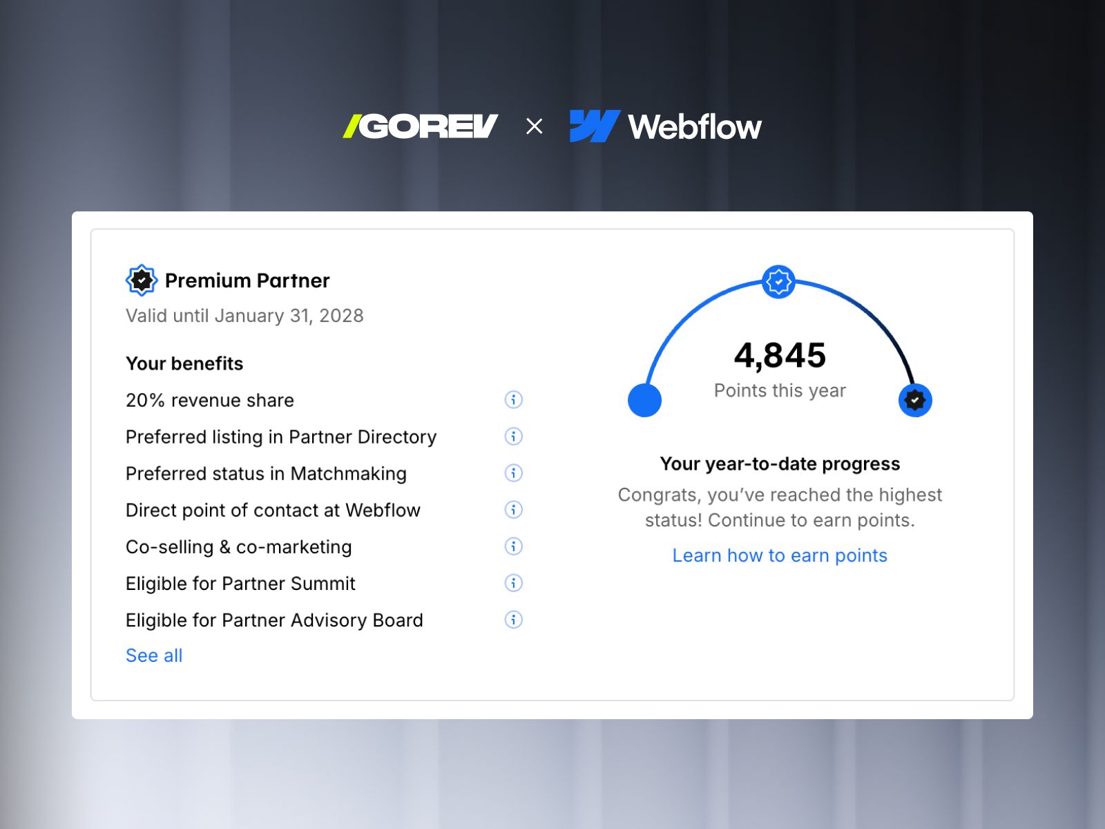 What is a Webflow Premium Partner and does it matter when hiring an agency?