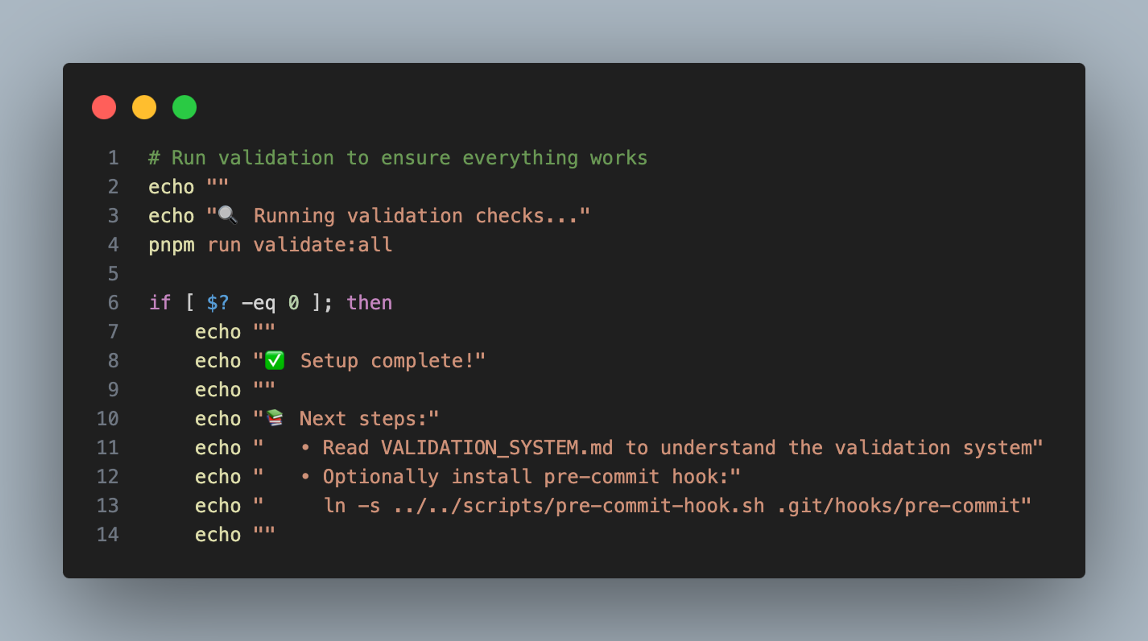 Terminal output showing a validation script being executed with pnpm run validate:all during the setup process.
