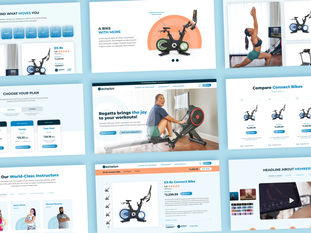 Website Redesign – Echelon