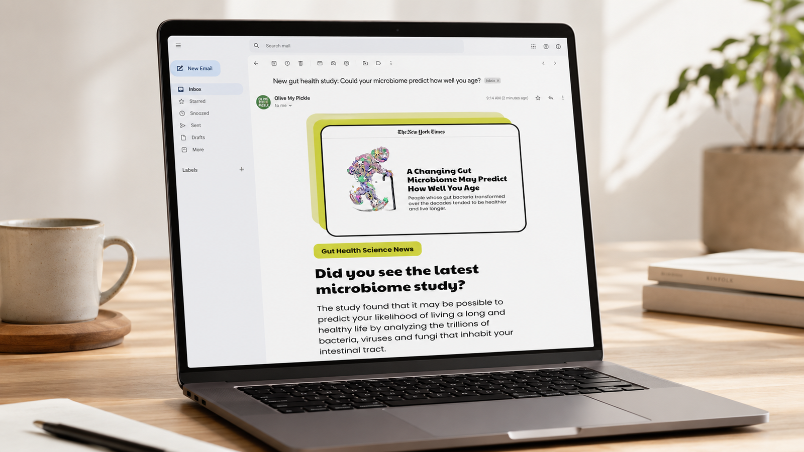 Olive My Pickle gut-health email shown open on a laptop in an email inbox
