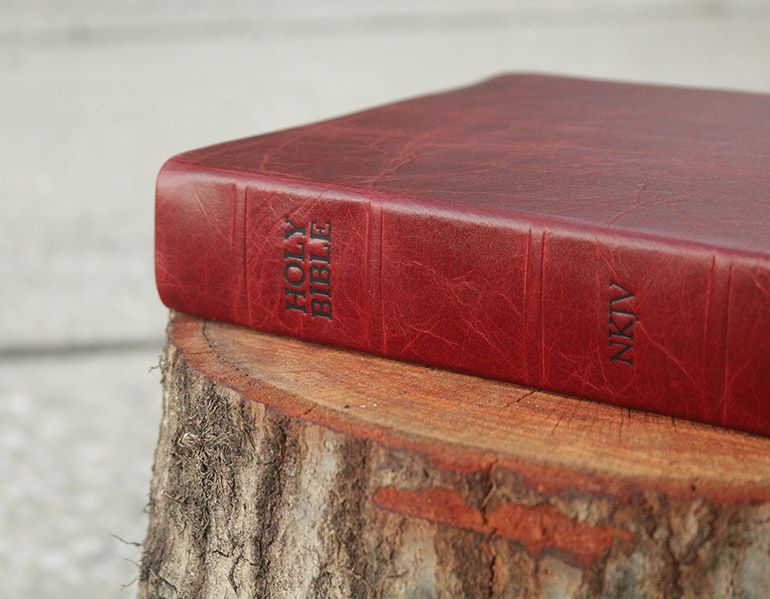 Burgundy NKJV leather Bible with an embossed spine, photographed on a tree stump