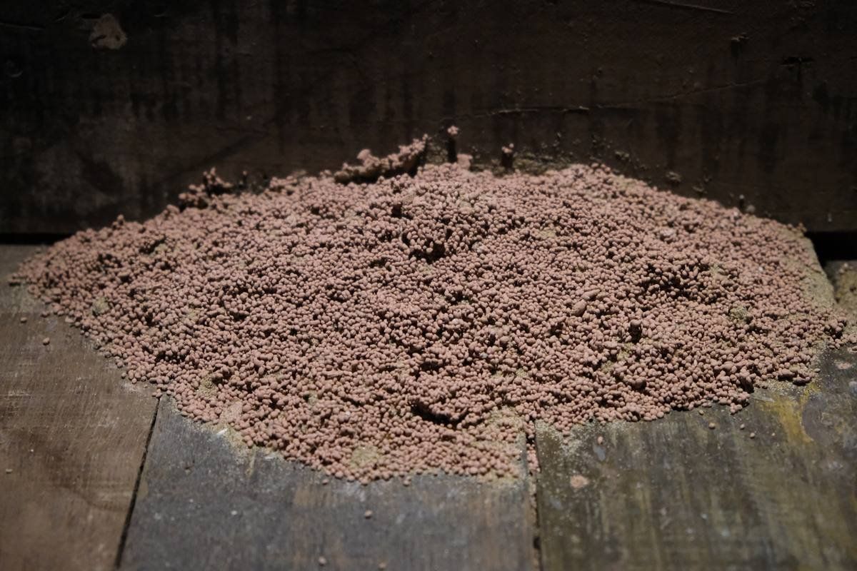 While The Soil Slumbers | Linh San — 3