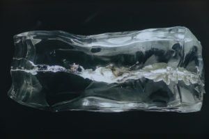 The Picture Will Still Exist | Bức hình vẫn còn đó — 21