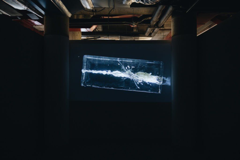 The Picture Will Still Exist | Bức hình vẫn còn đó — 2