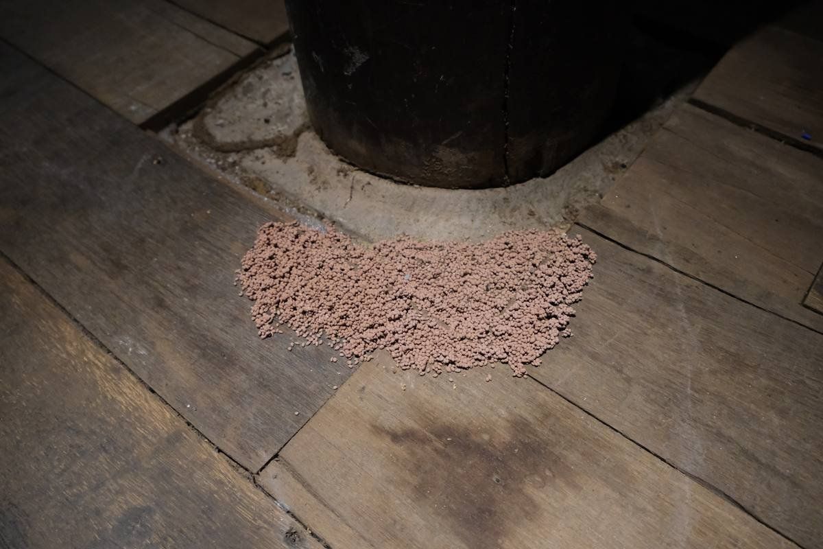 While The Soil Slumbers | Linh San — 6
