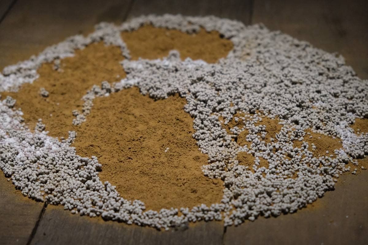 While The Soil Slumbers | Linh San — 5