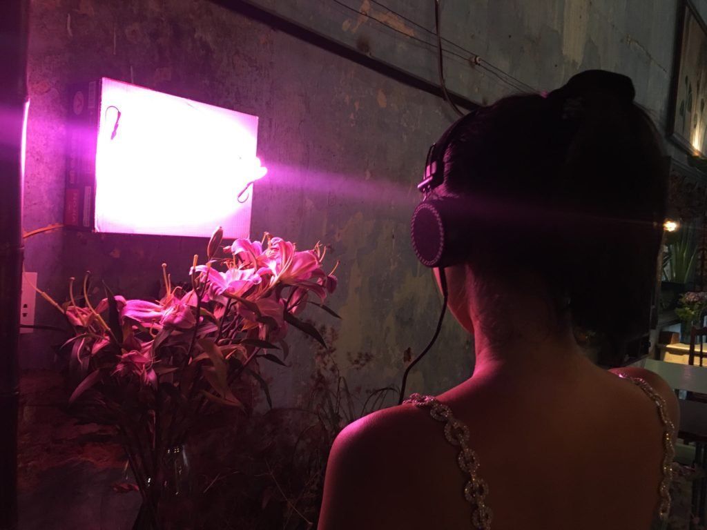 +1 museum by any other name | flowers | Tran Minh Duc — 7