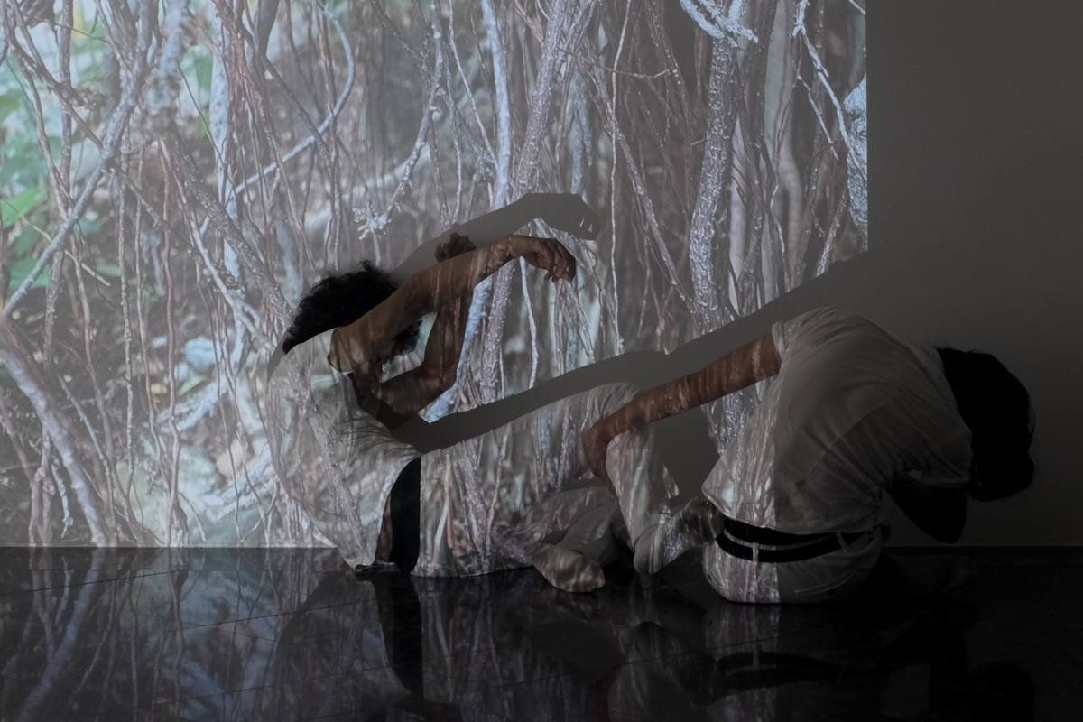 Performance, Presentation & Discussion — 4