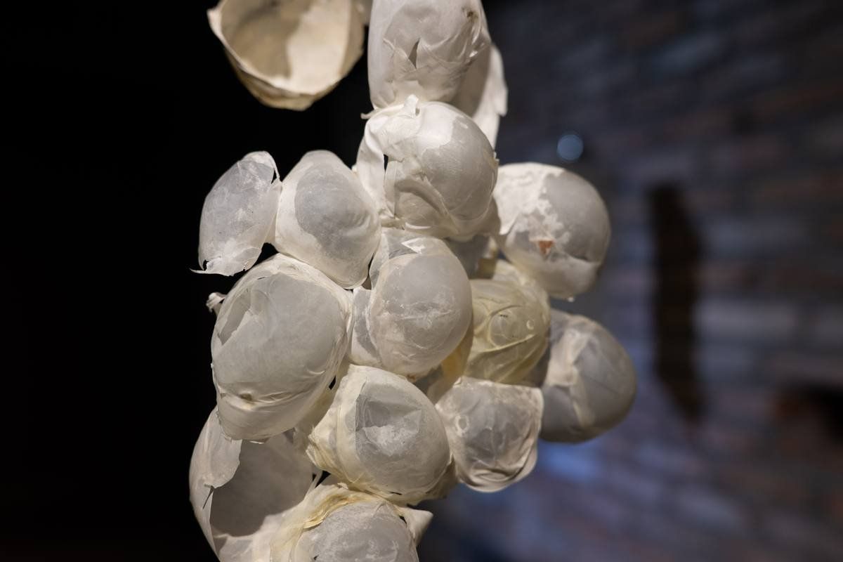 “A tingling sensation under the skin” by Kaki & “The Burden of Becoming” by Nguyễn Giao Xuân | Season 8 Open Studios — 6