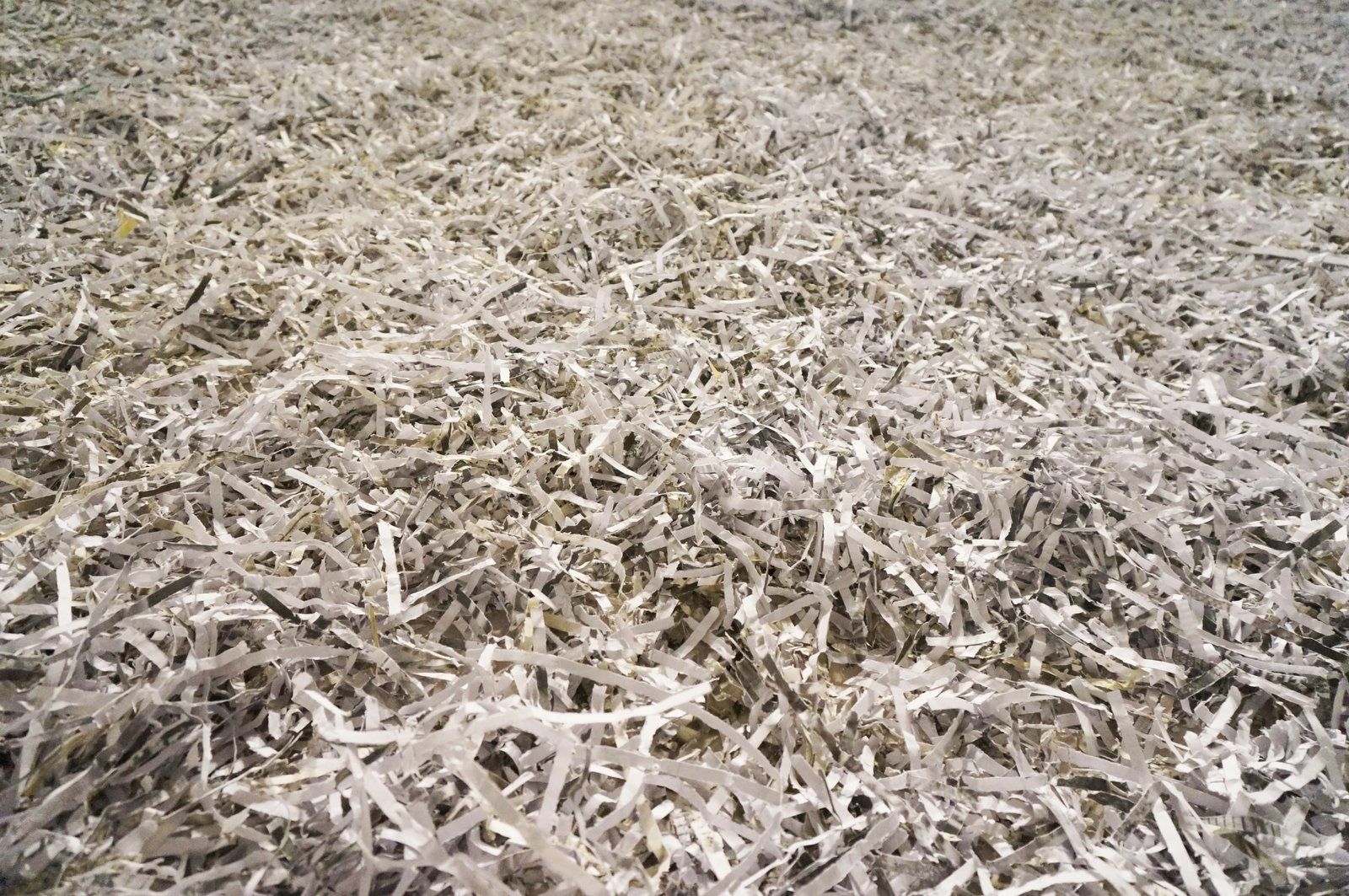 Fields of Shredded Paper