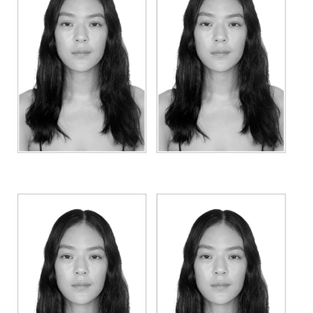 Karen-Thao Nguyen La