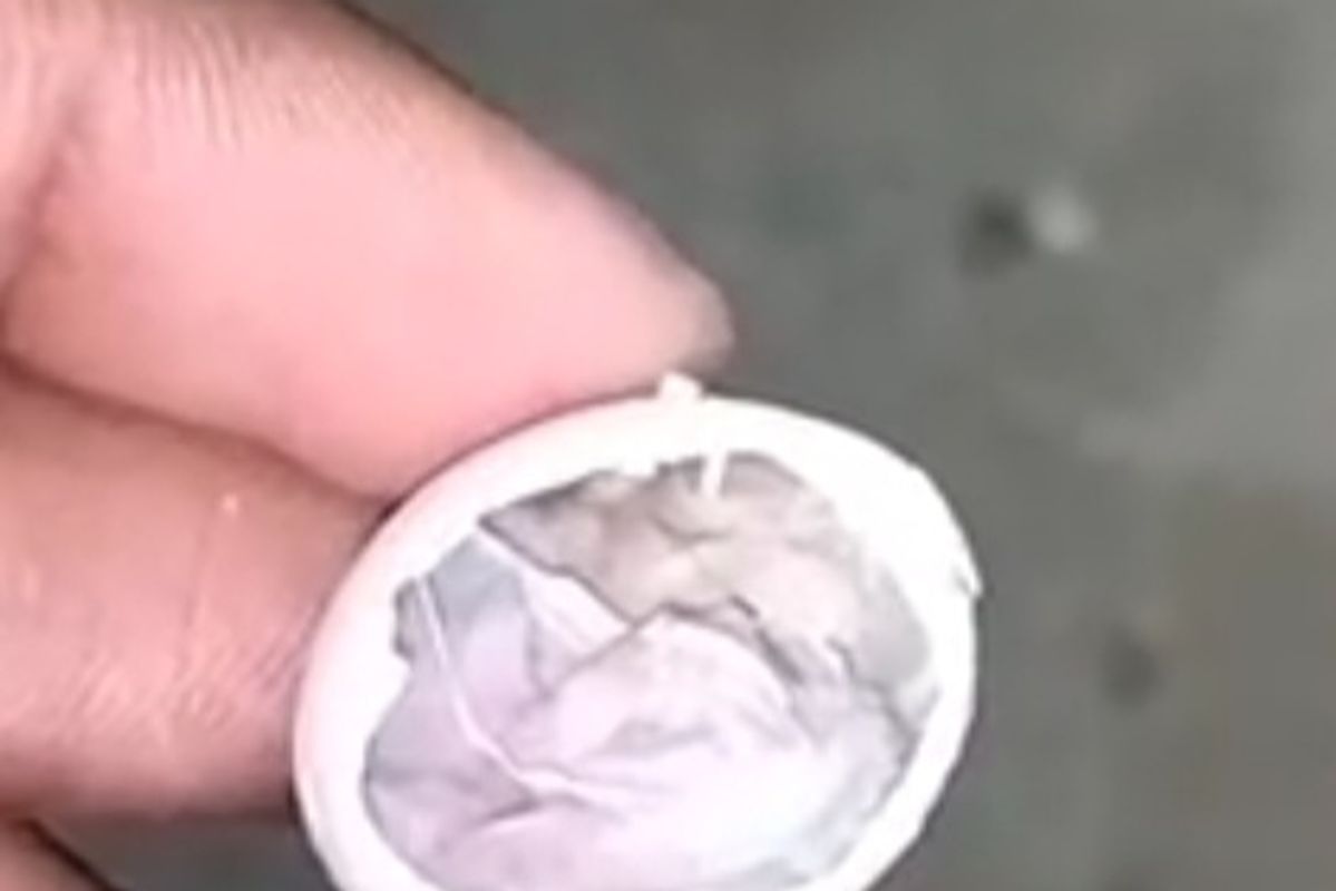 ڈیڈ ان شیل
