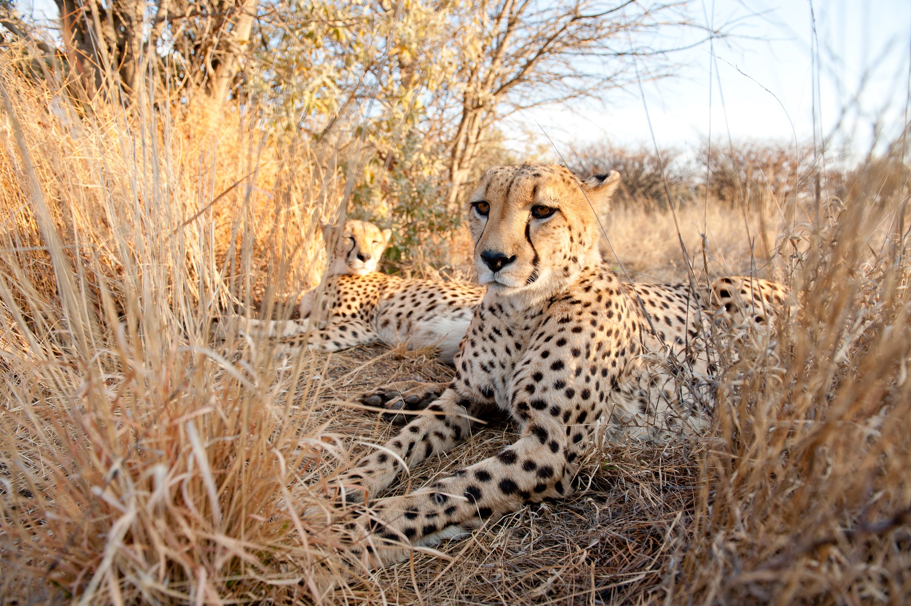 Photograph from Namibia