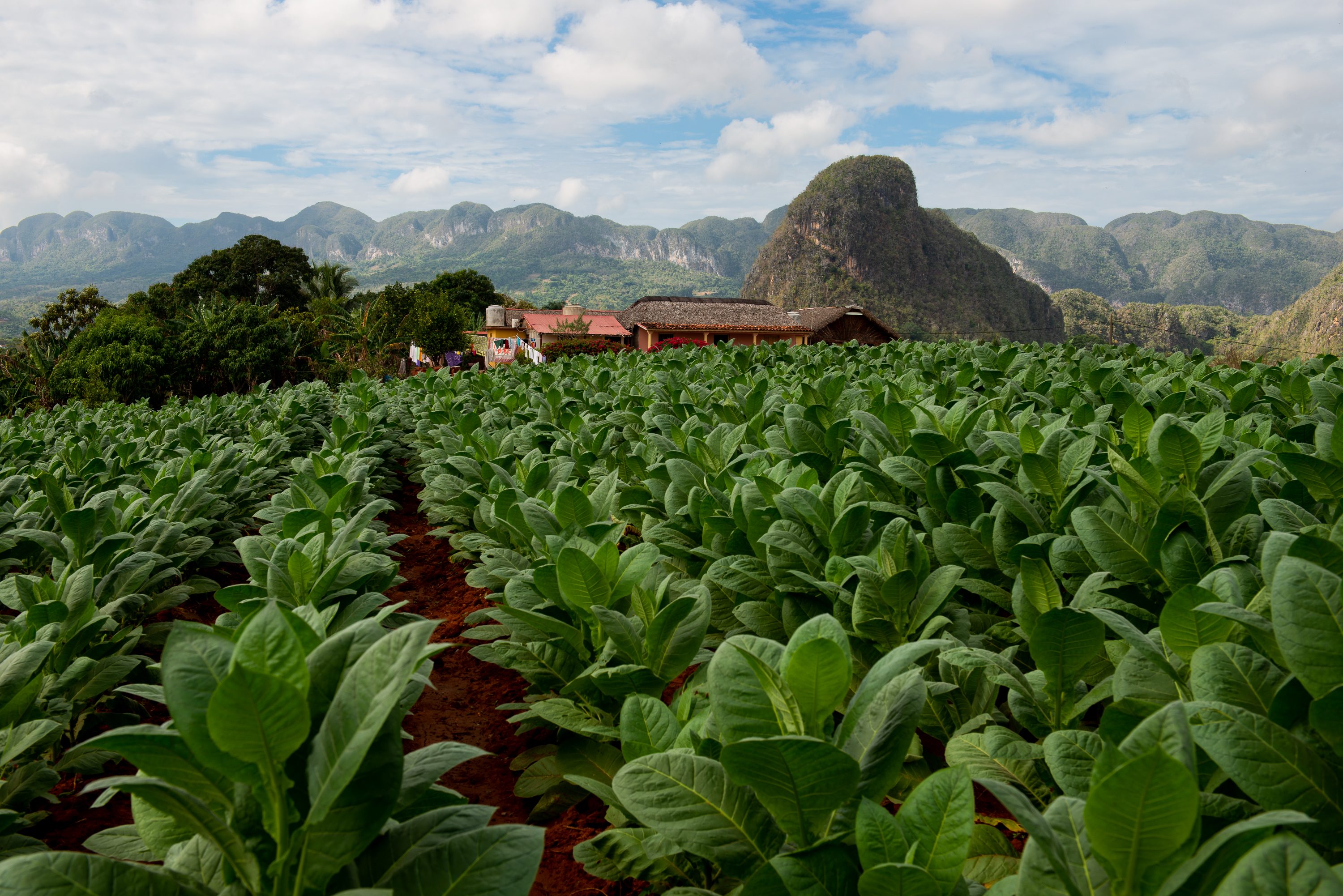 Photograph from Cuba