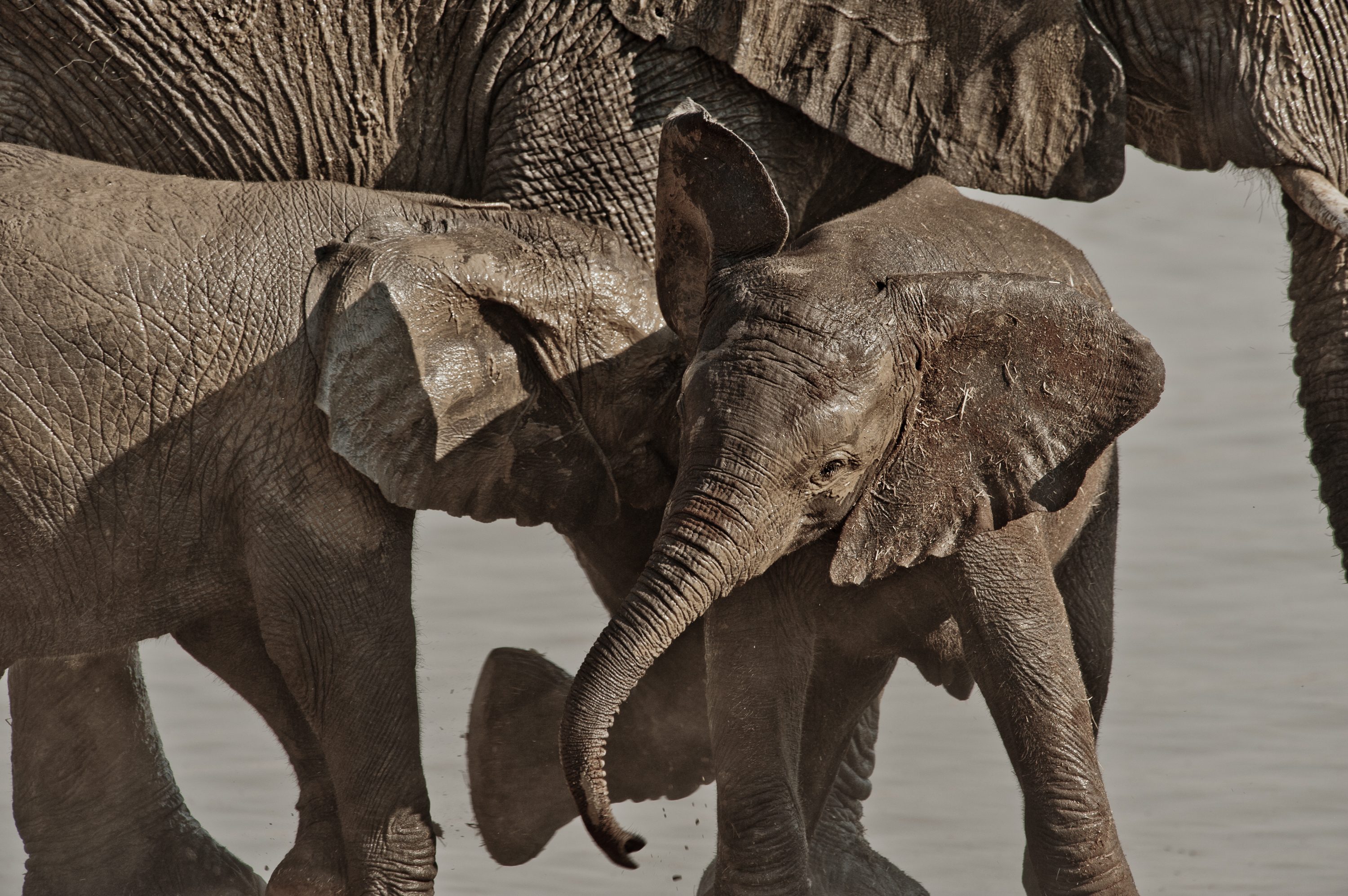 Photograph from Namibia