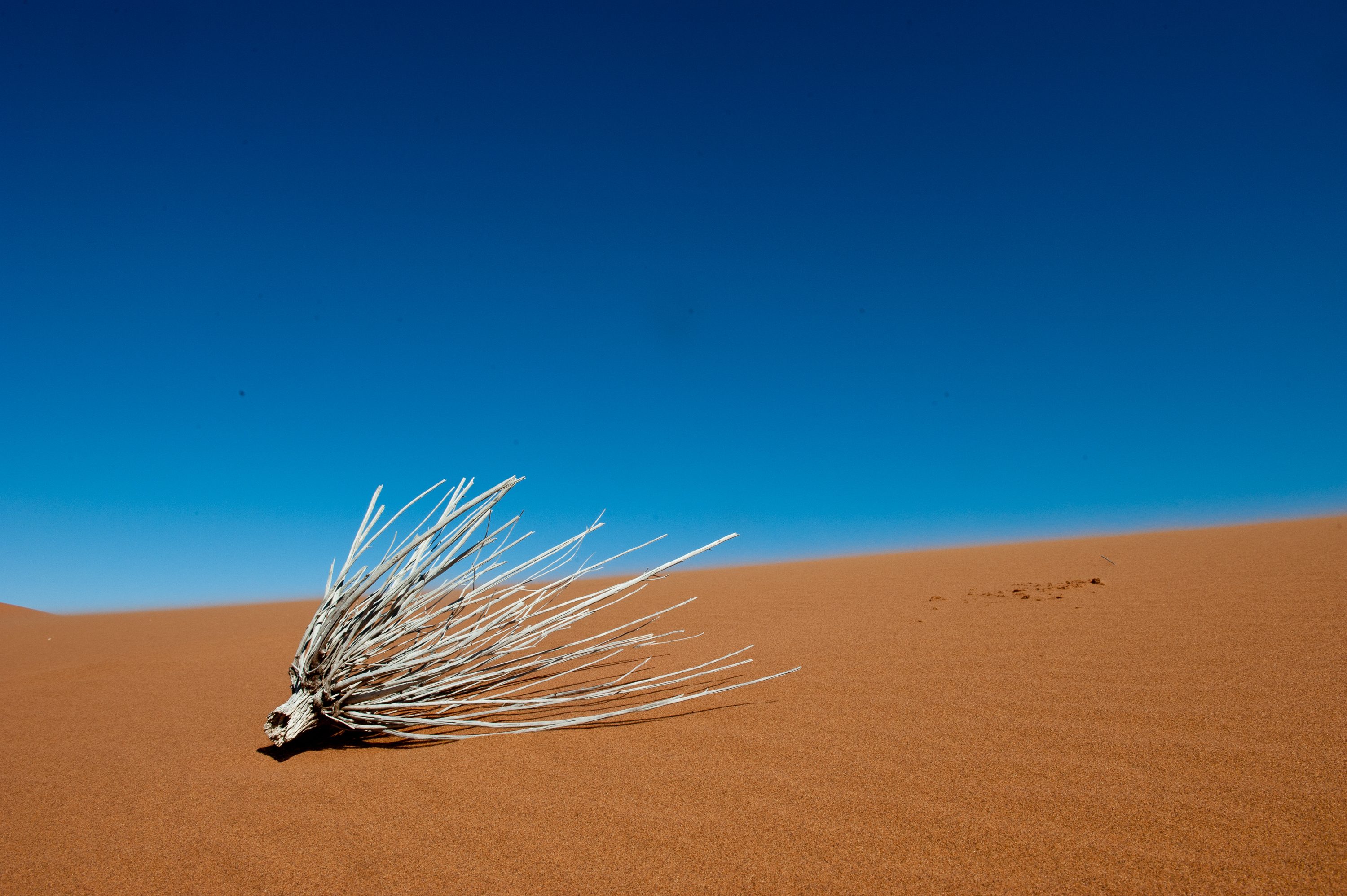 Photograph from Namibia