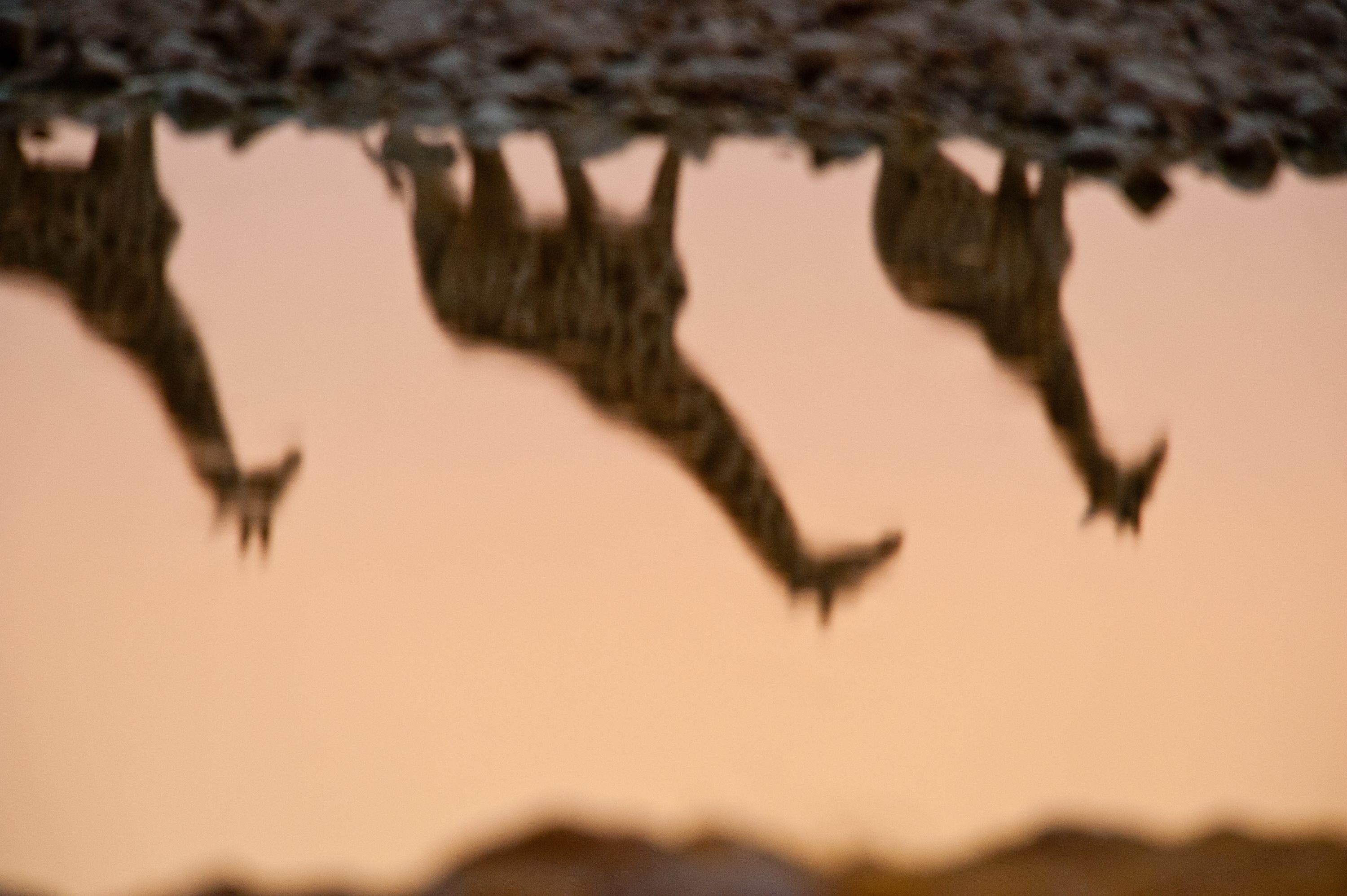 Photograph from Namibia