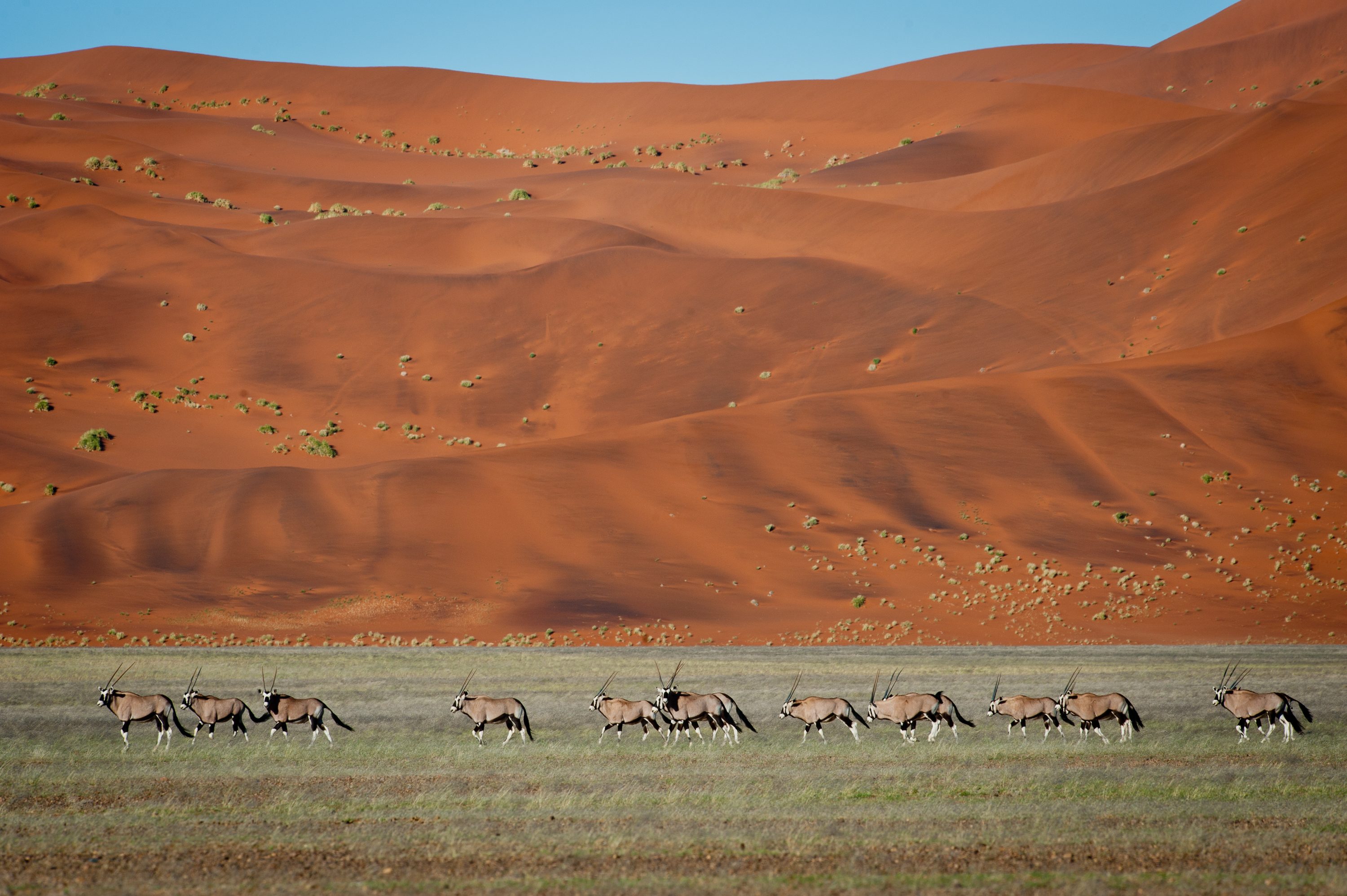 Photograph from Namibia