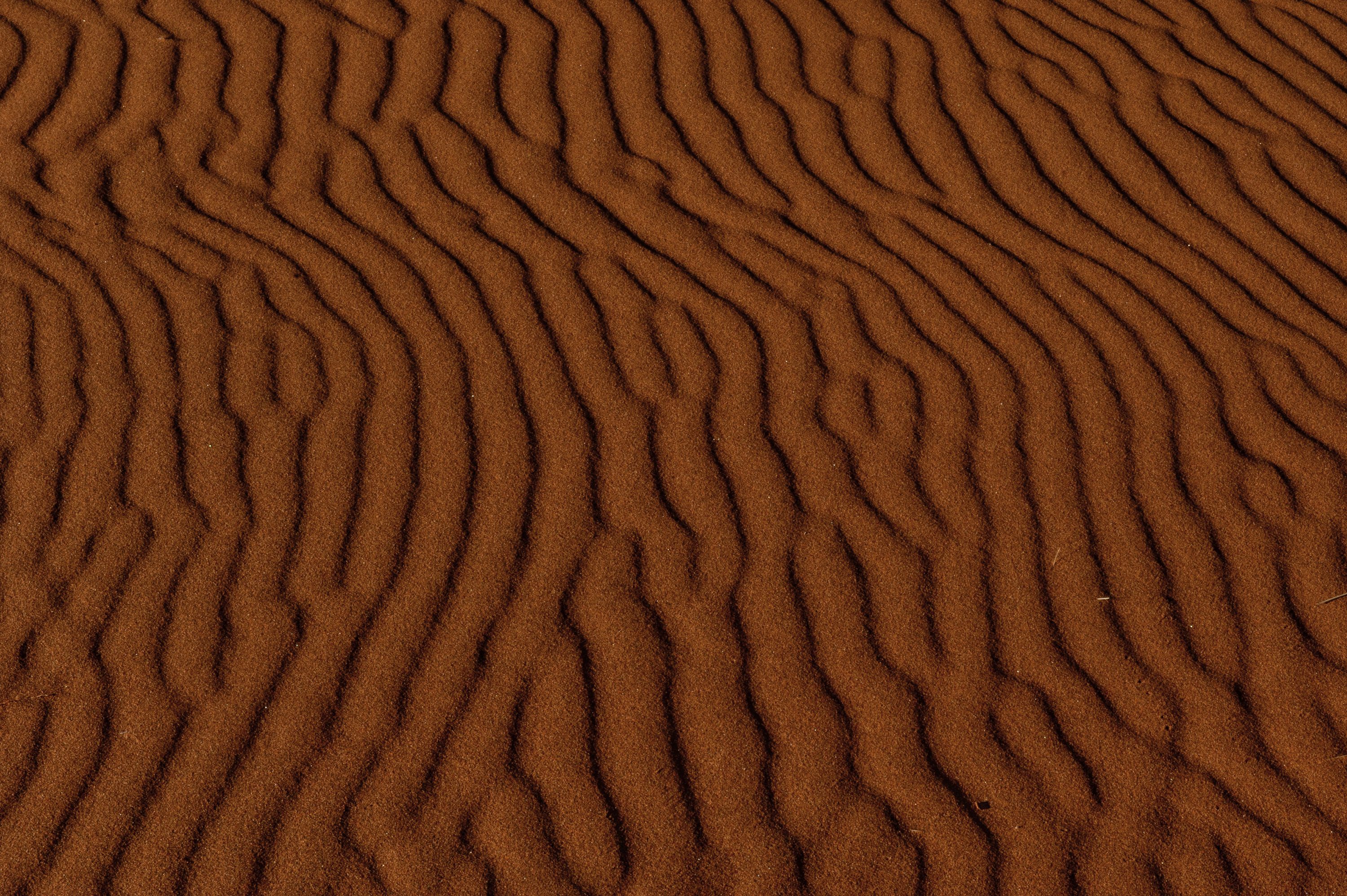 Photograph from Namibia