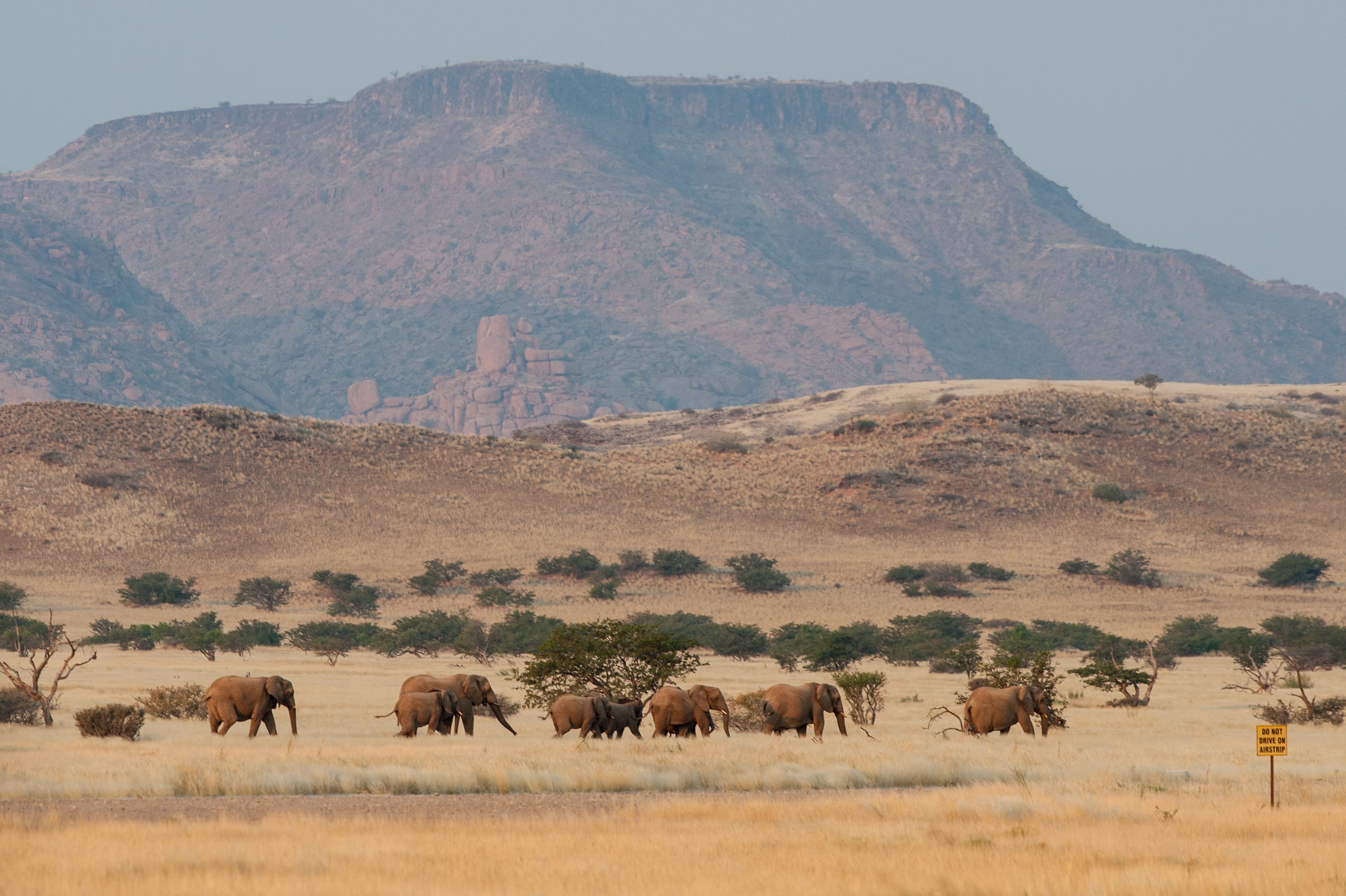 Photograph from Namibia