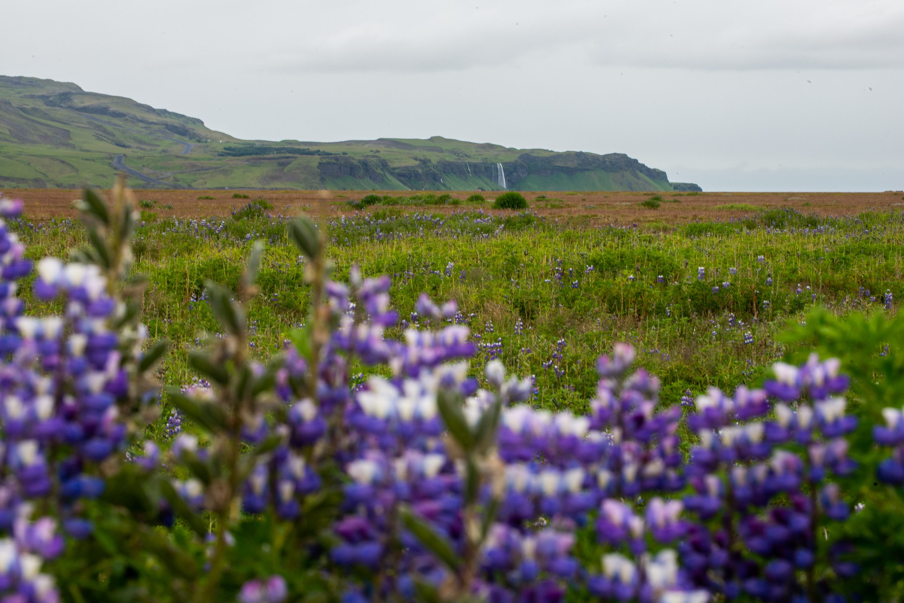 Photograph from Iceland