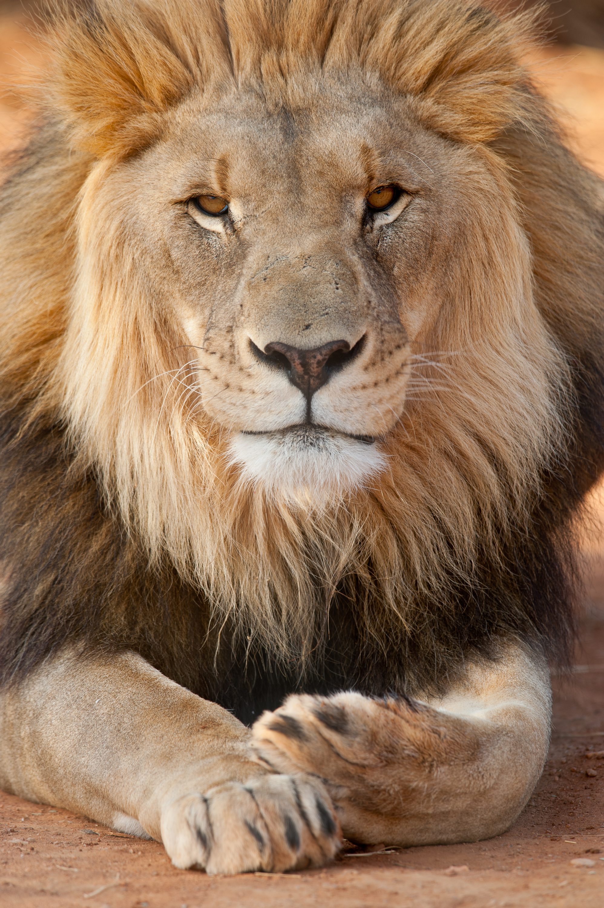 Photograph from Namibia