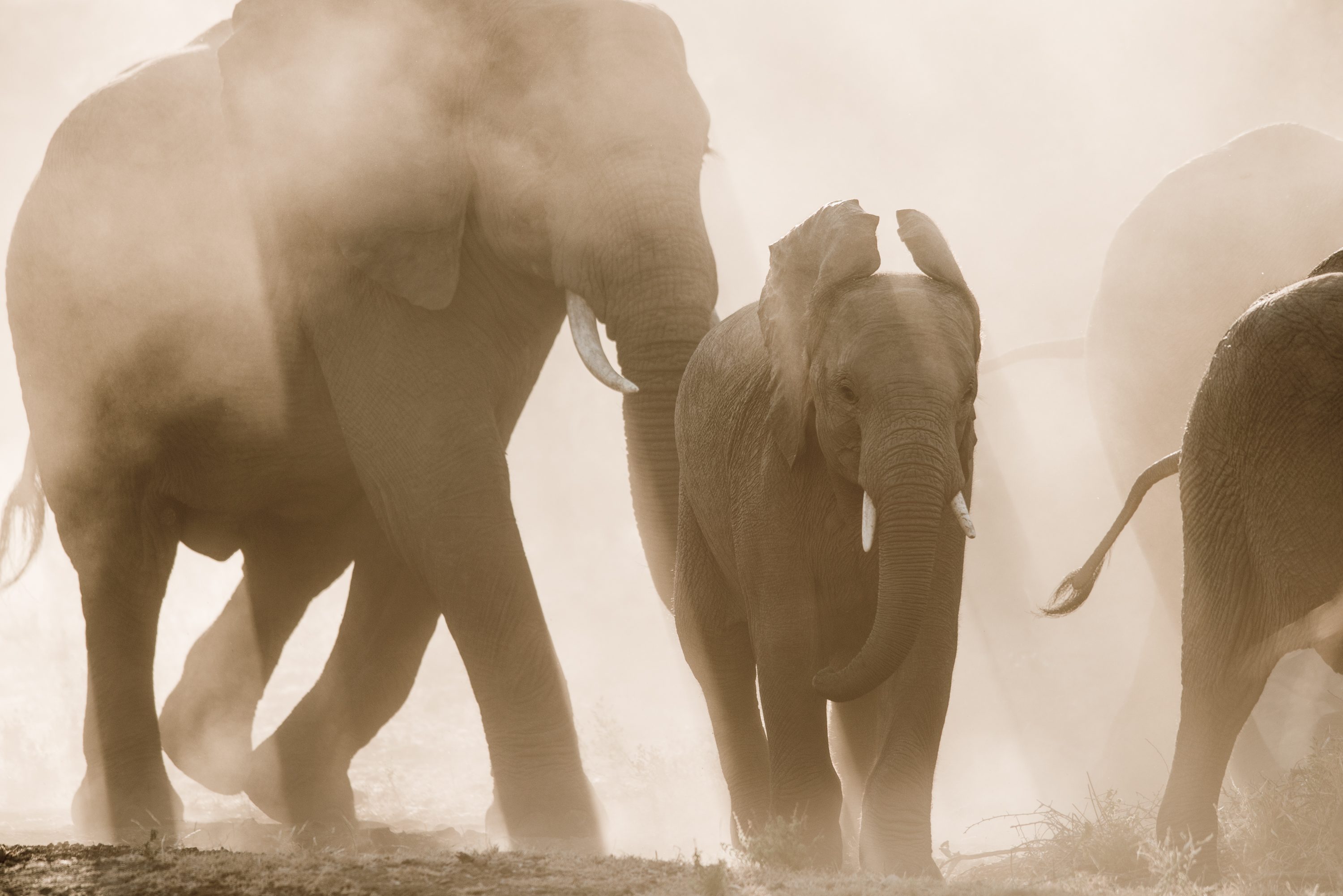 Photograph from South Africa