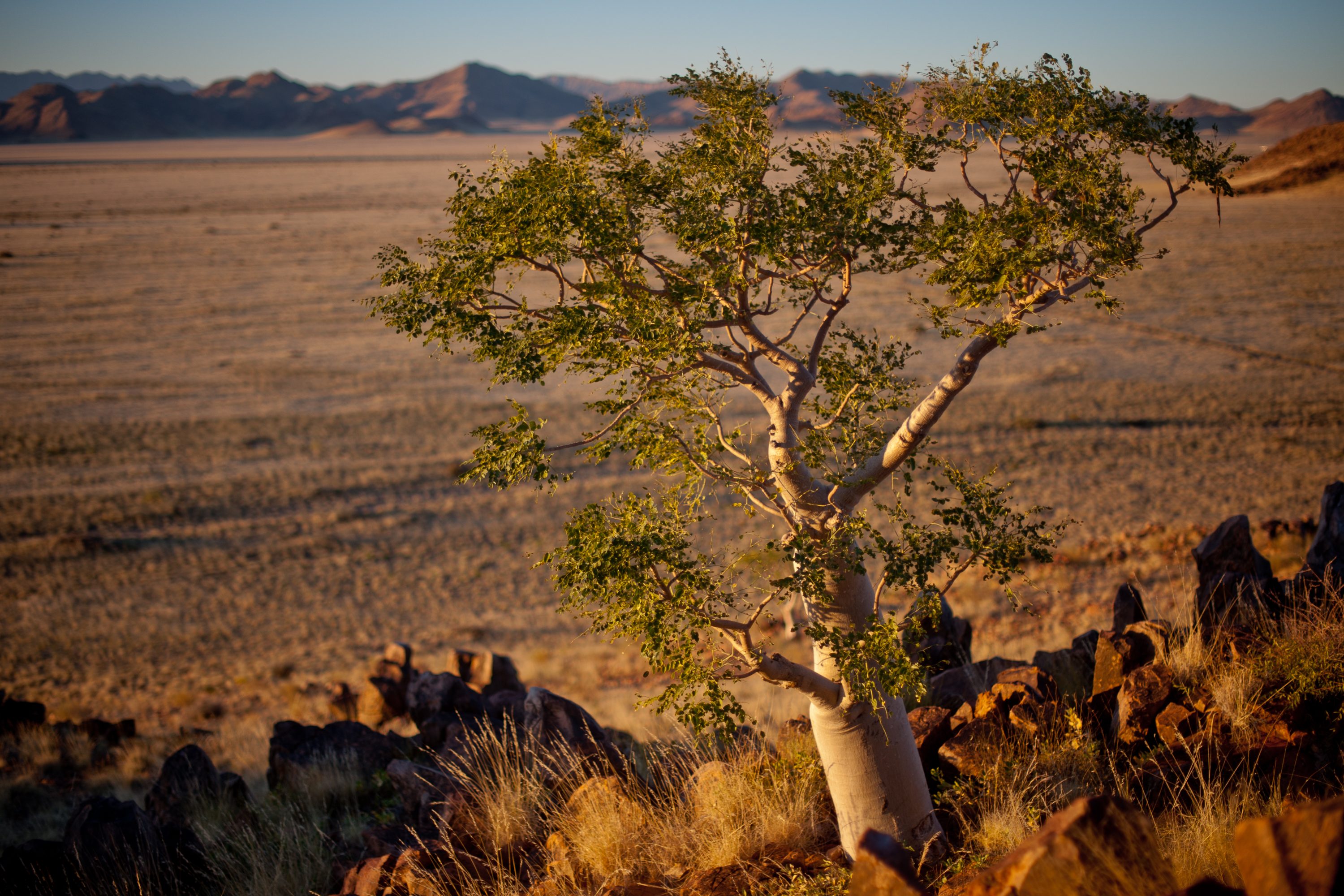 Photograph from Namibia