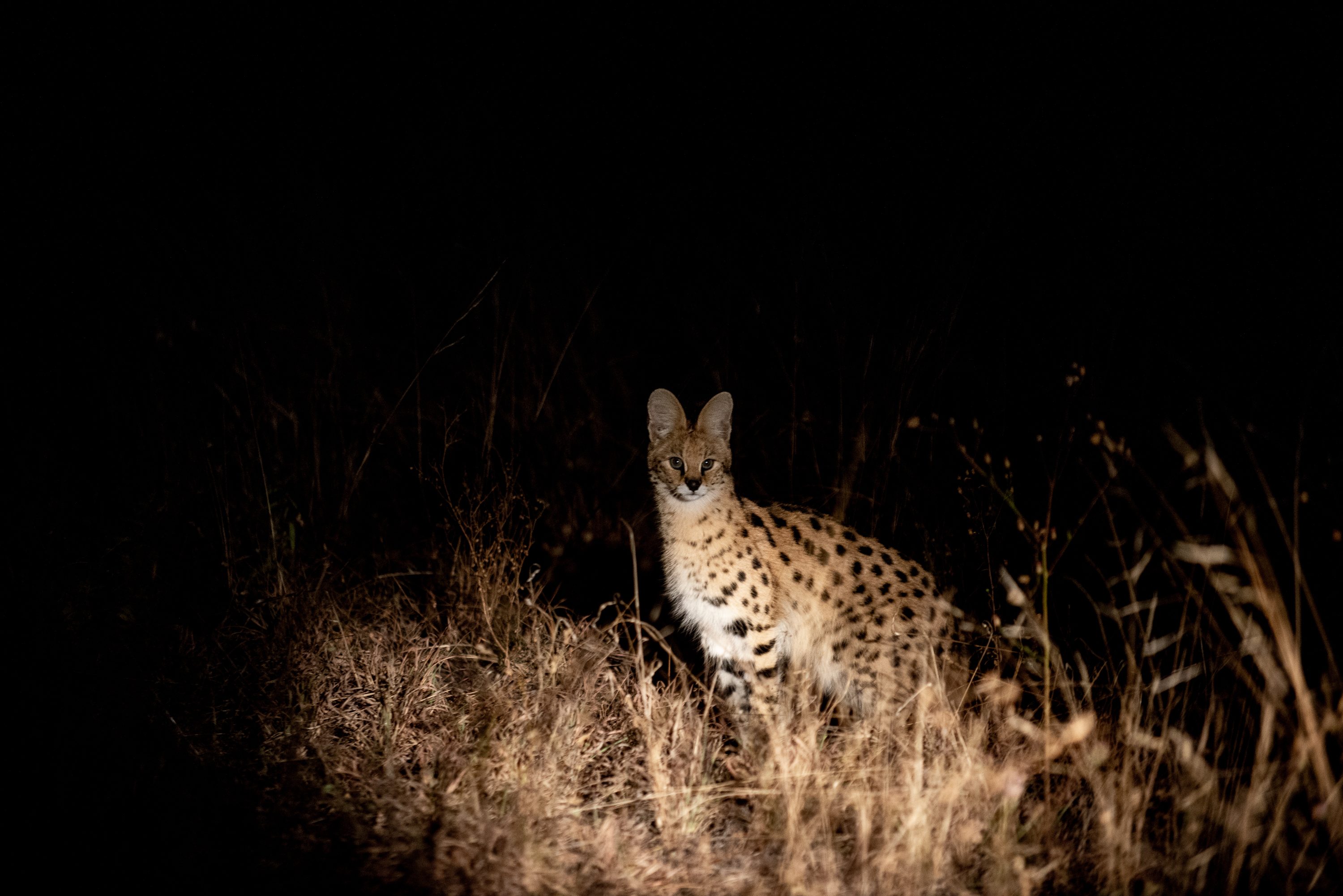 Photograph from South Africa