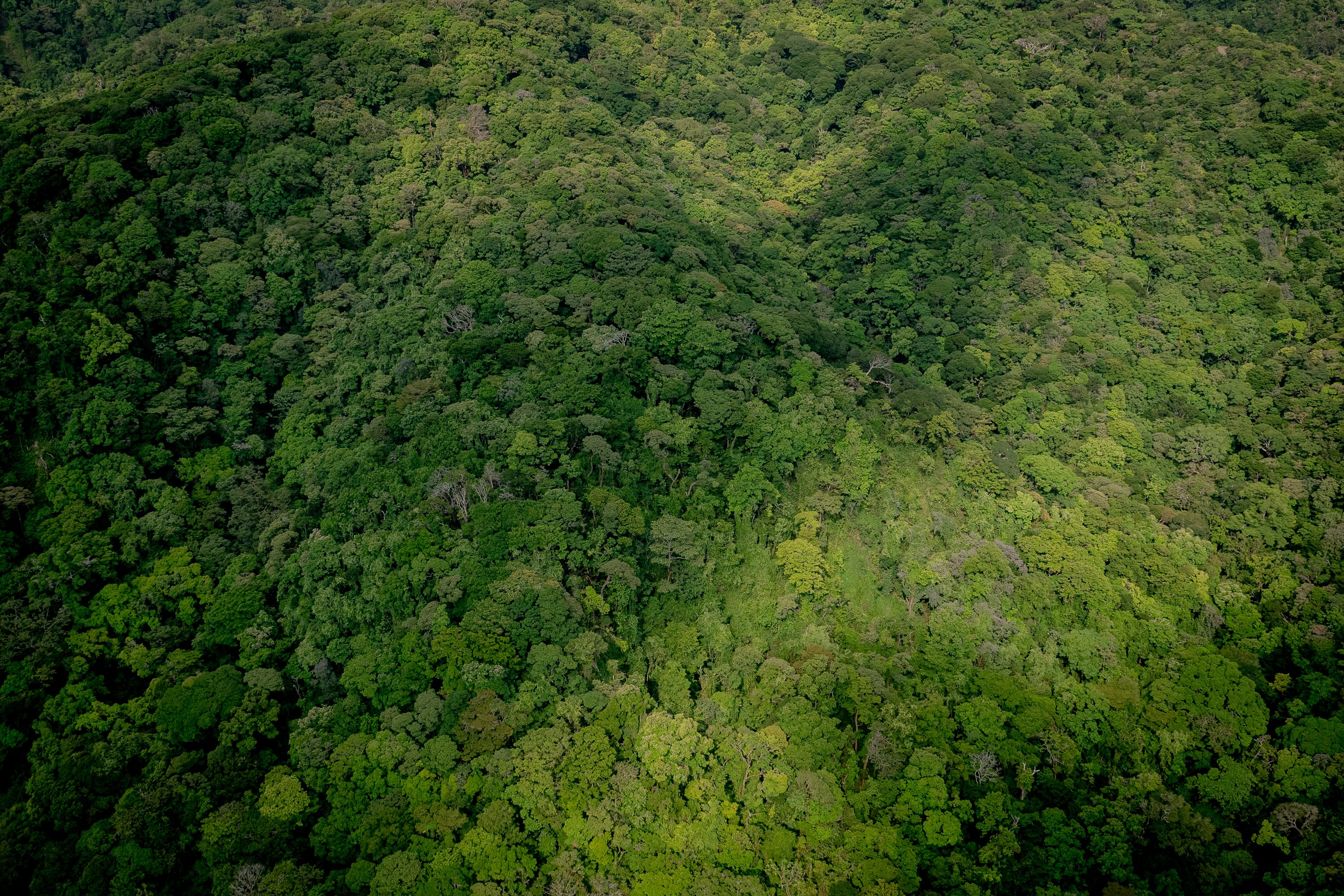 Photograph from Costa Rica