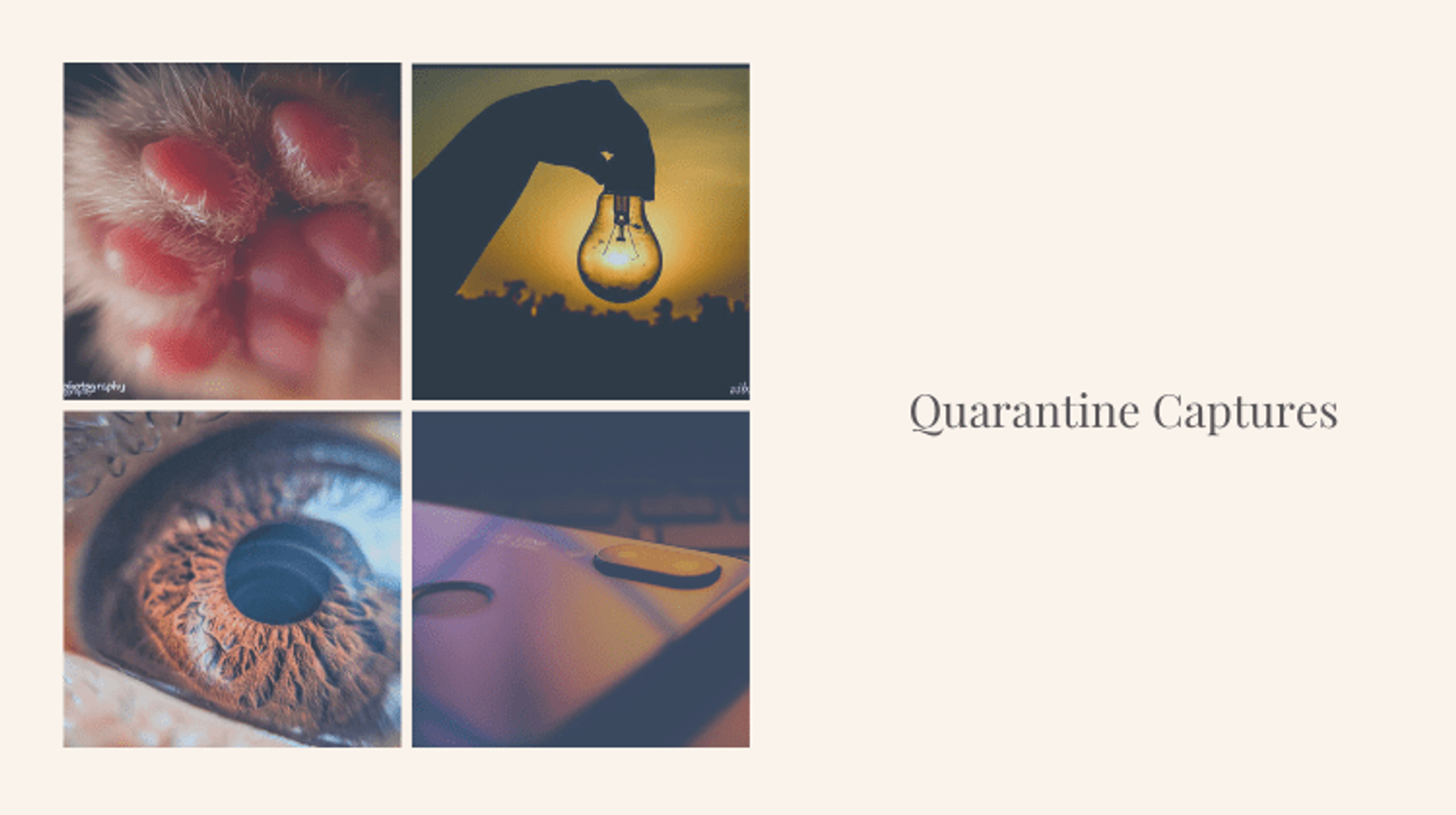 Quarantine Captures
