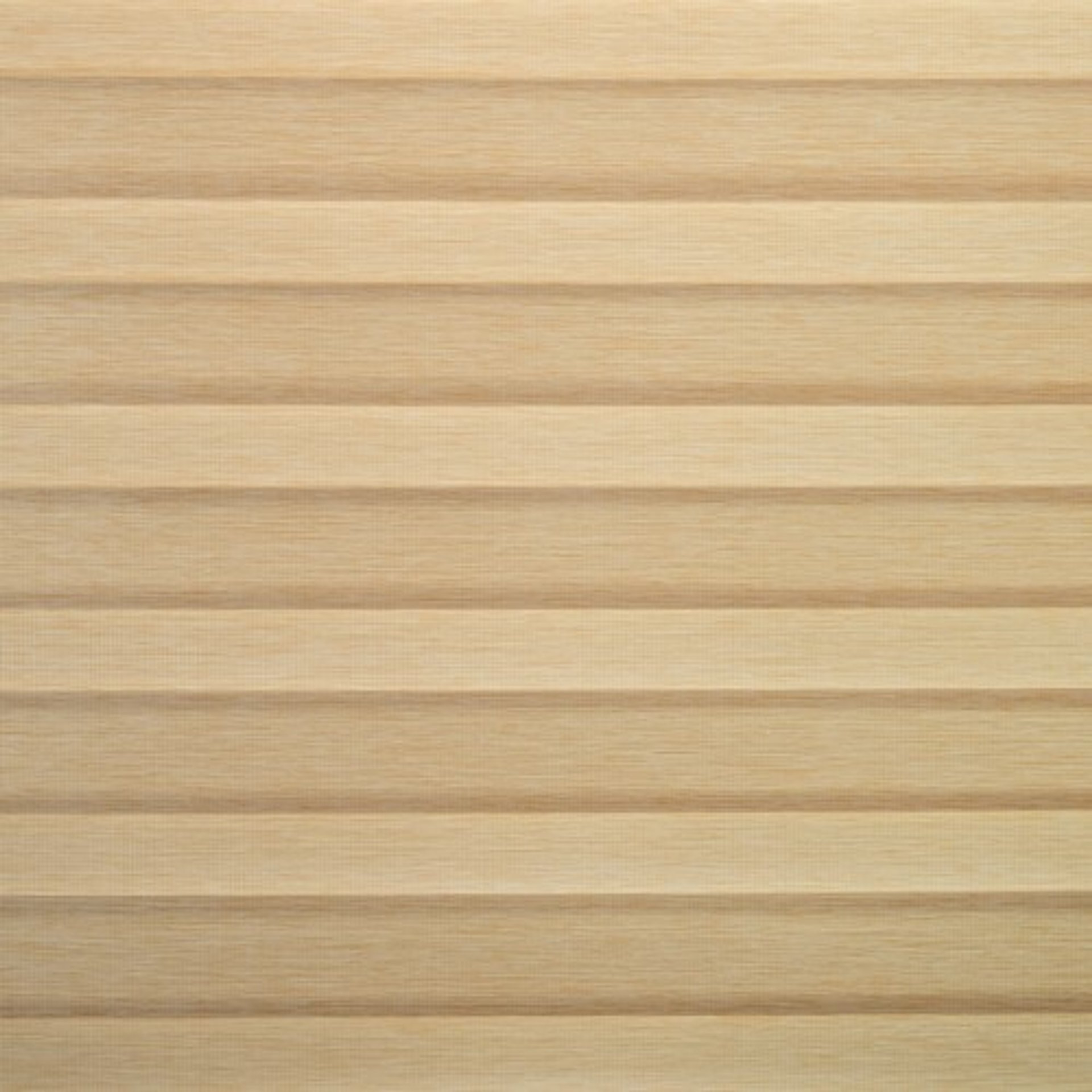 Beige Zebra Blind