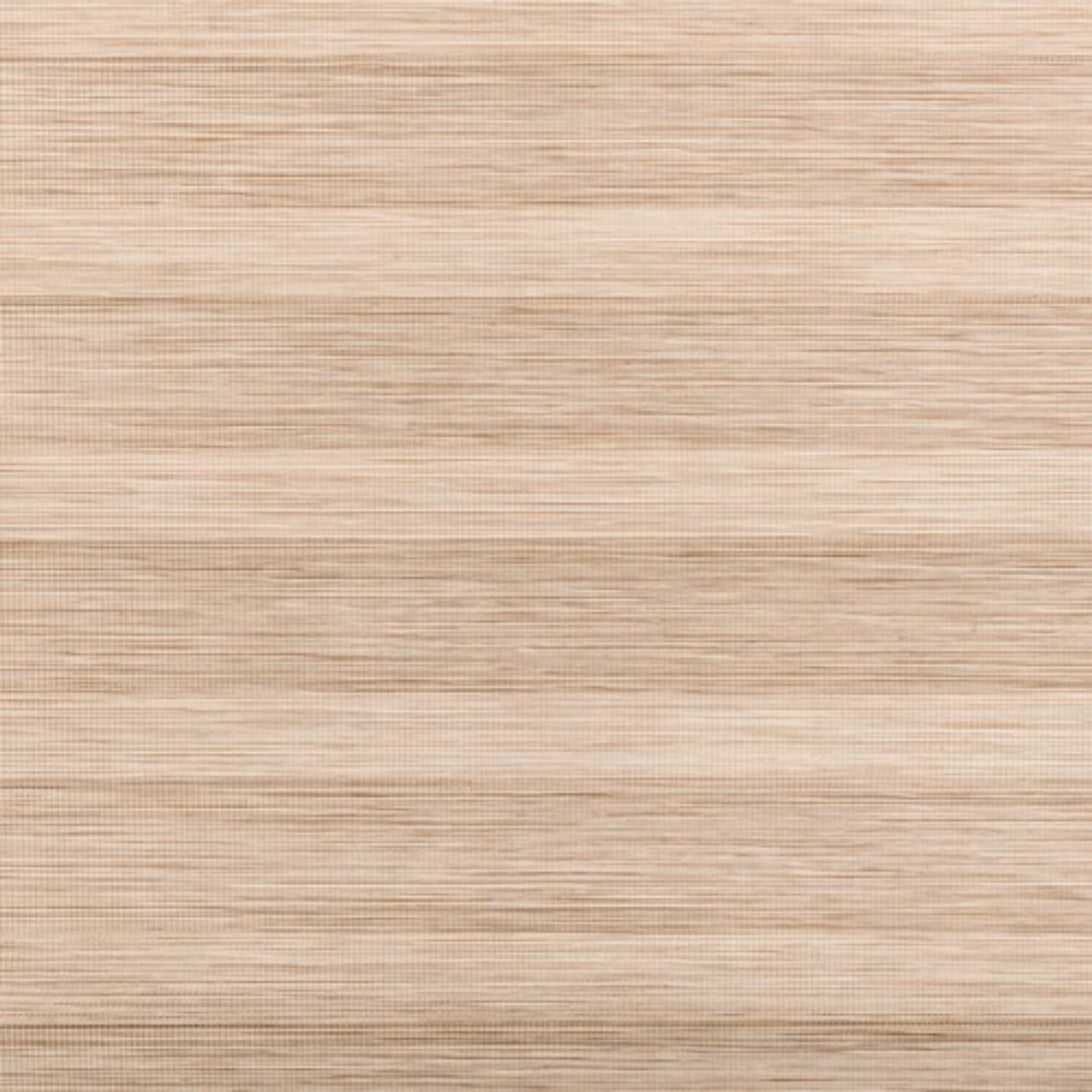 Light Beige Zebra Blind