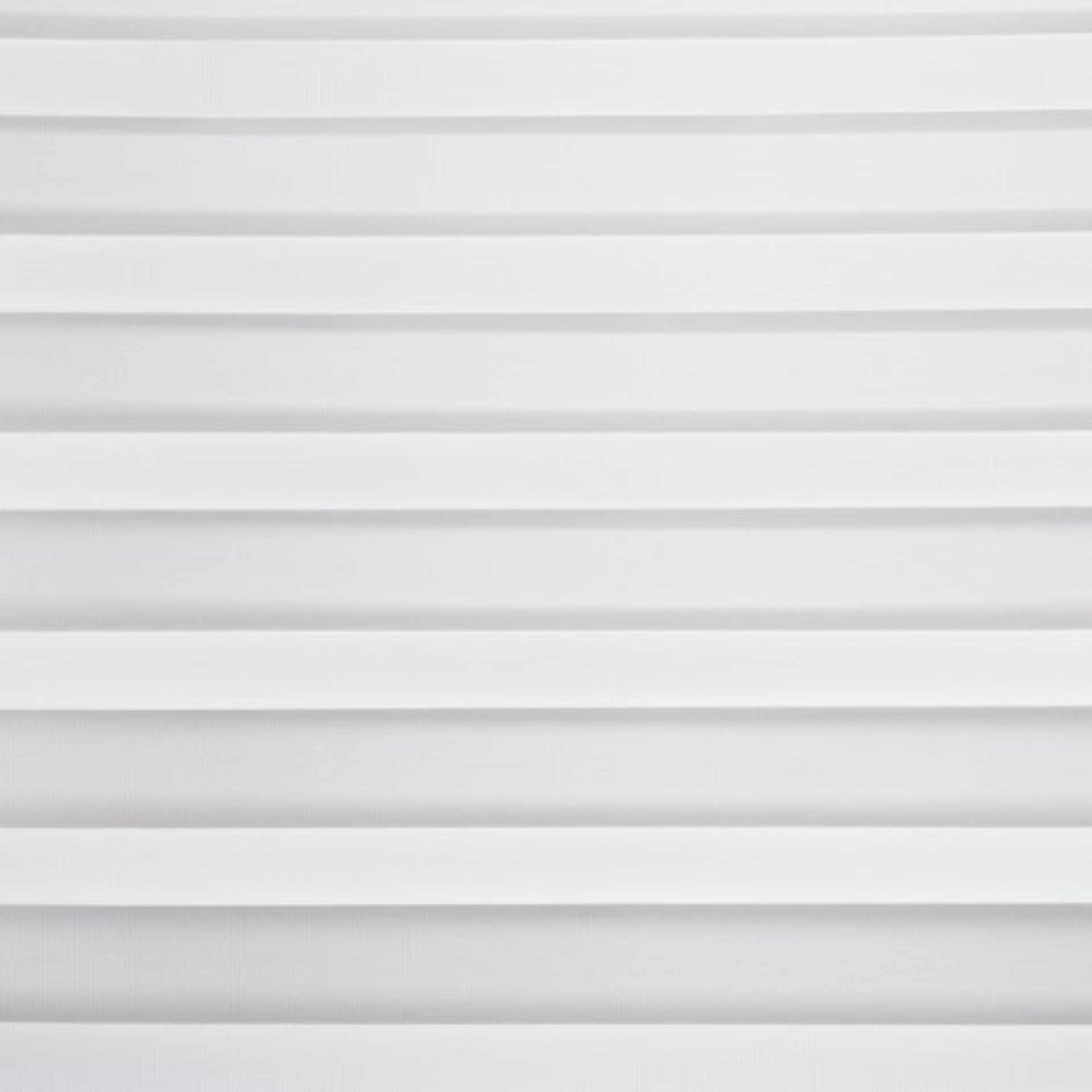White Zebra Blind