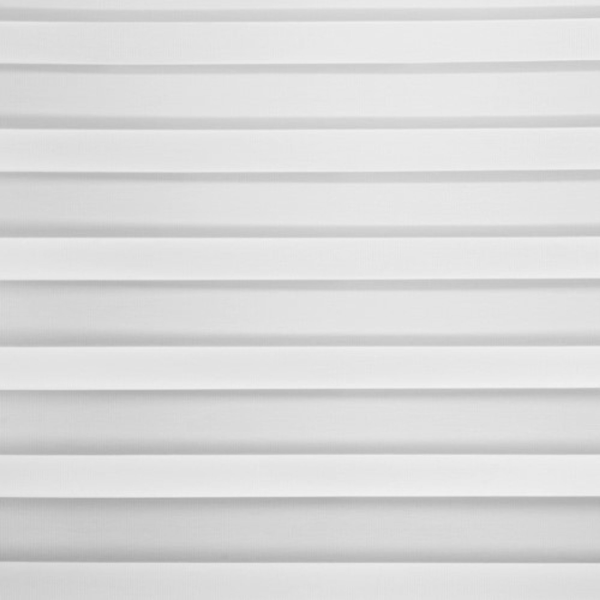 Silver Zebra Blind